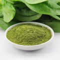 Dehydriertes Gemüse-Spinat-Pulver in bester Qualität zum Nachtisch